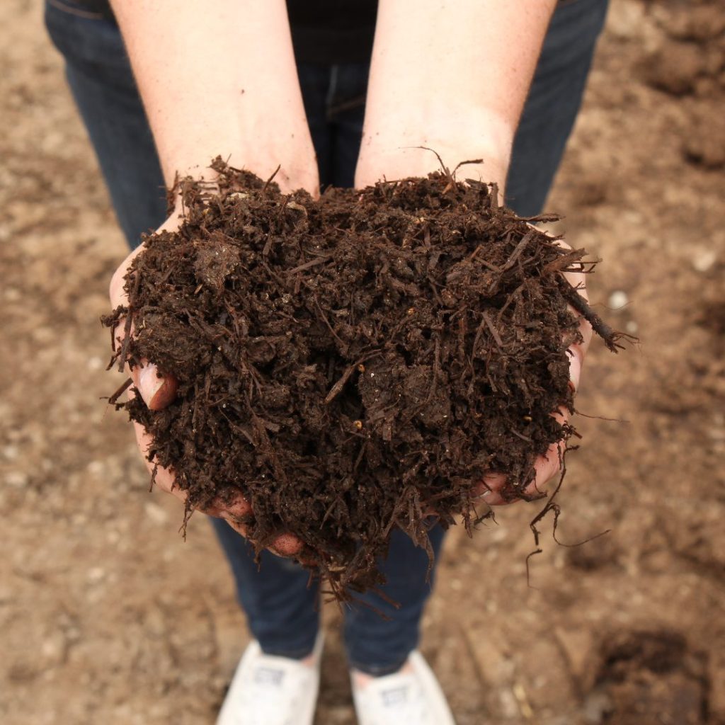Mushroom Compost